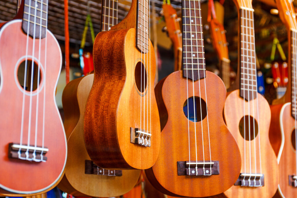 I segreti dell'ukulele